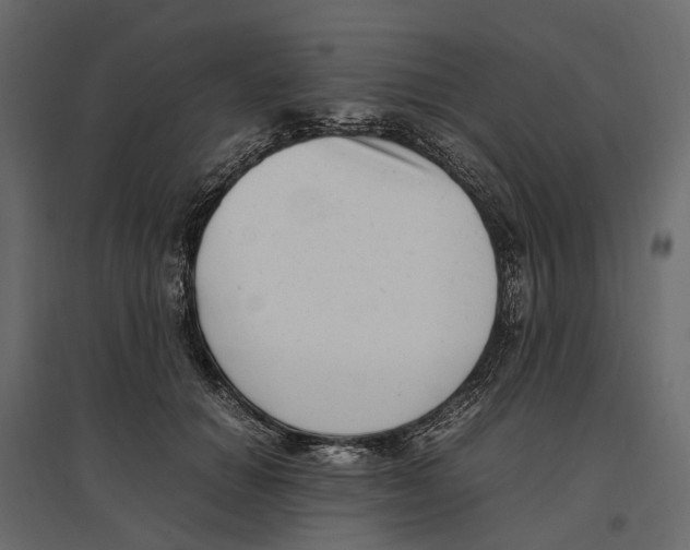 X0000097000654200803071118