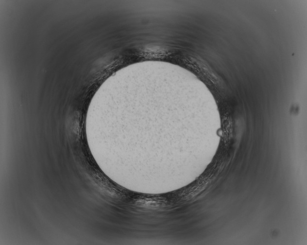 X0000097000655200803071119