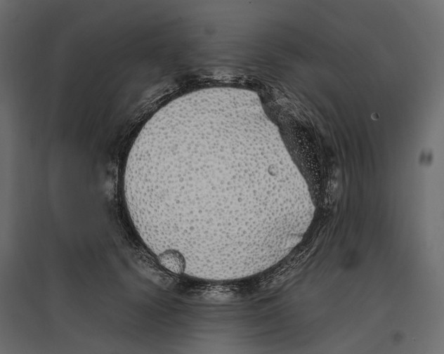 X0000097000656200803071119