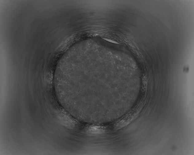 X0000097000657200803071119