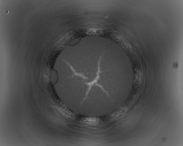 X0000097000659200803071119