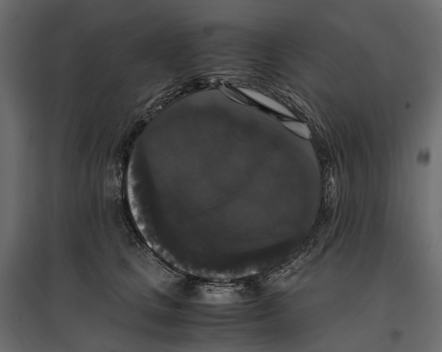 X0000097000661200803071119