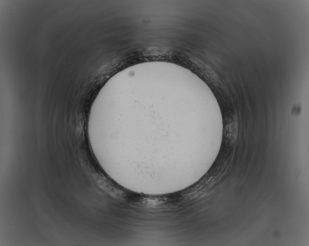 X0000097000662200803071119