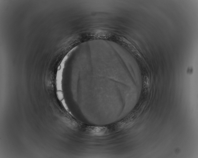 X0000097000663200803071119