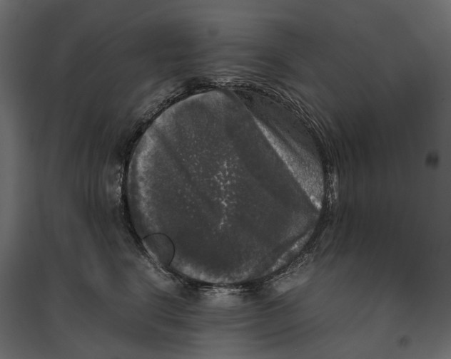 X0000097000664200803071119