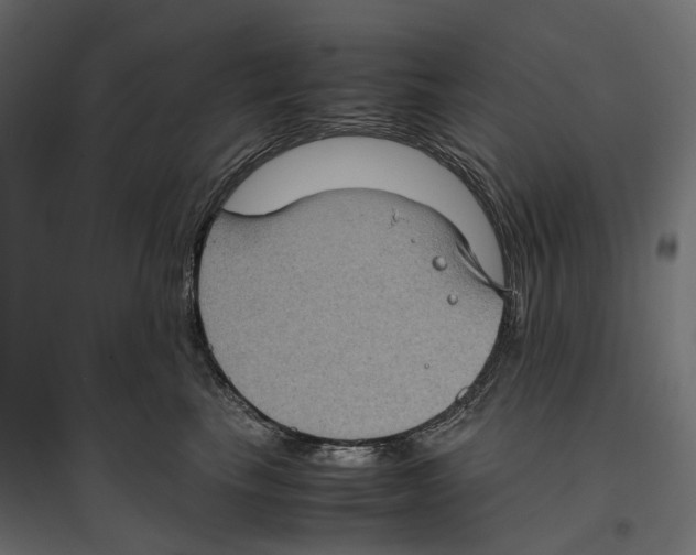 X0000097000665200803071119