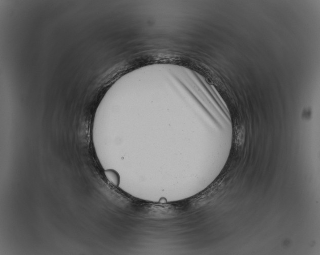 X0000097000666200803071119