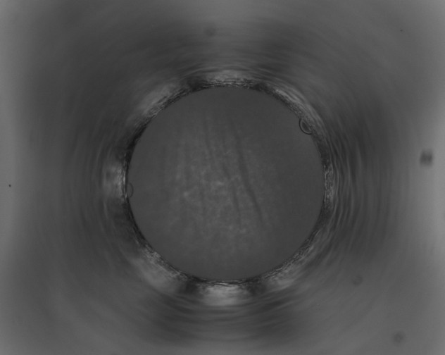 X0000097000669200803071119