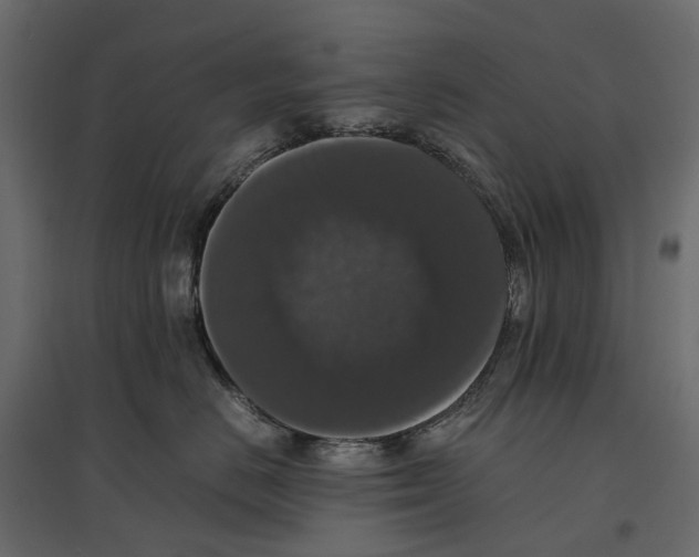 X0000097000670200803071119