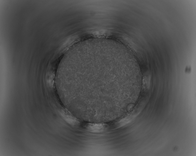 X0000097000671200803071119