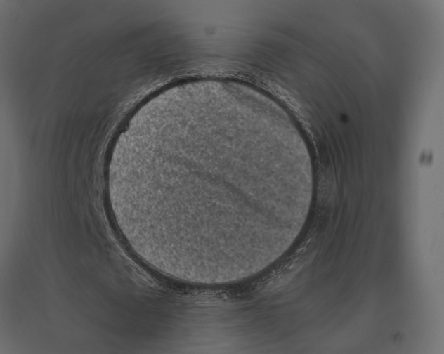 X0000097000673200803071118