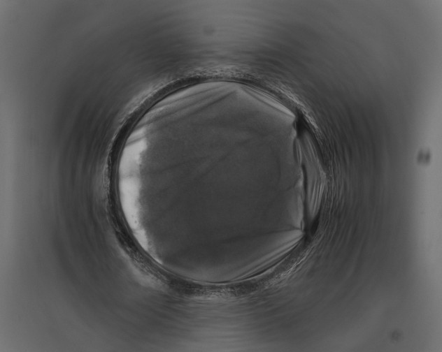 X0000097000674200803071118