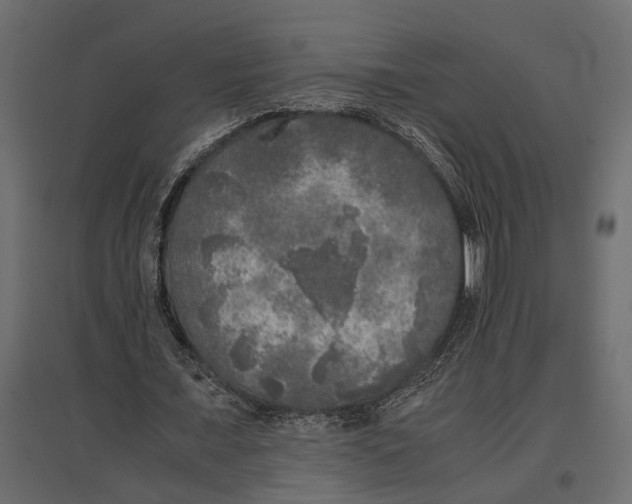 X0000097000675200803071118