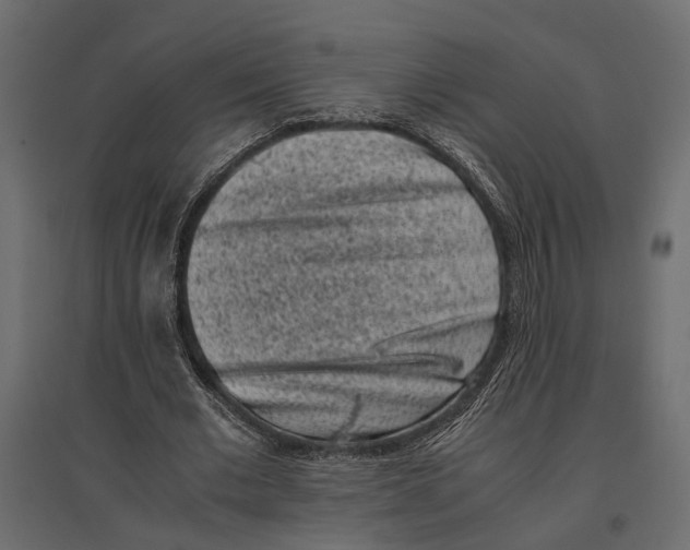 X0000097000677200803071118