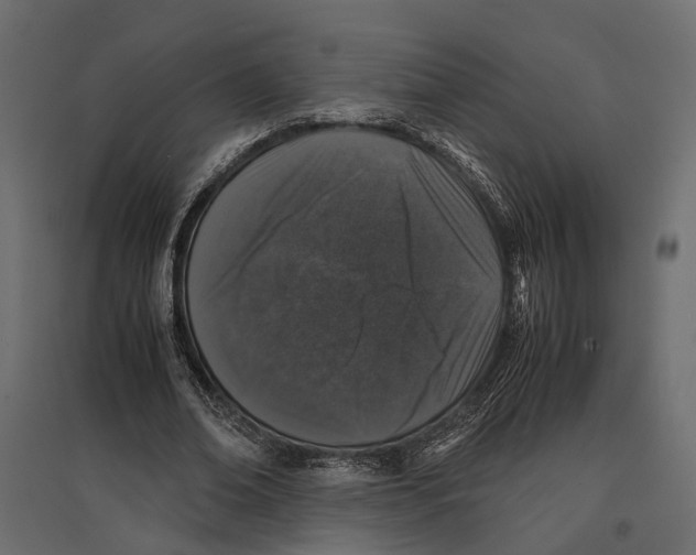 X0000097000678200803071118