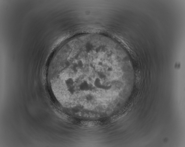 X0000097000679200803071118