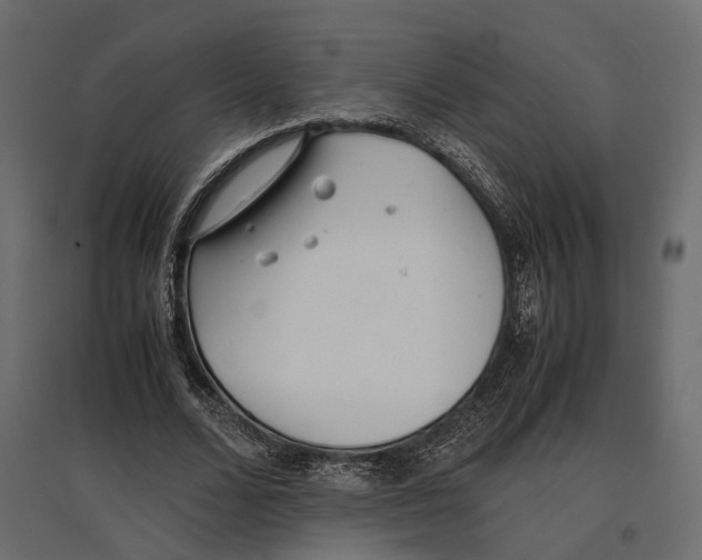 X0000097000680200803071118