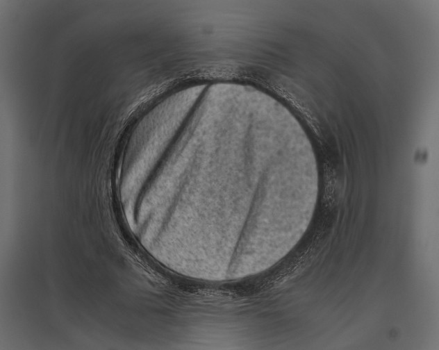 X0000097000681200803071118