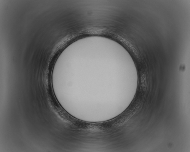 X0000097000682200803071118