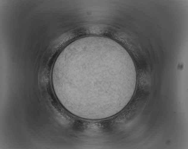 X0000097000683200803071118