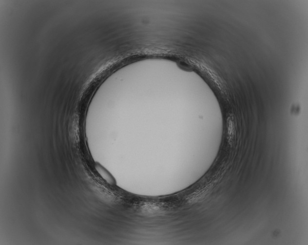 X0000097000684200803071118