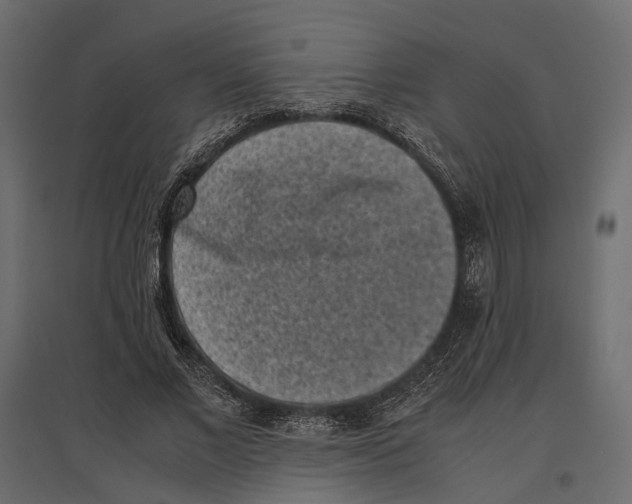 X0000097000685200803071118