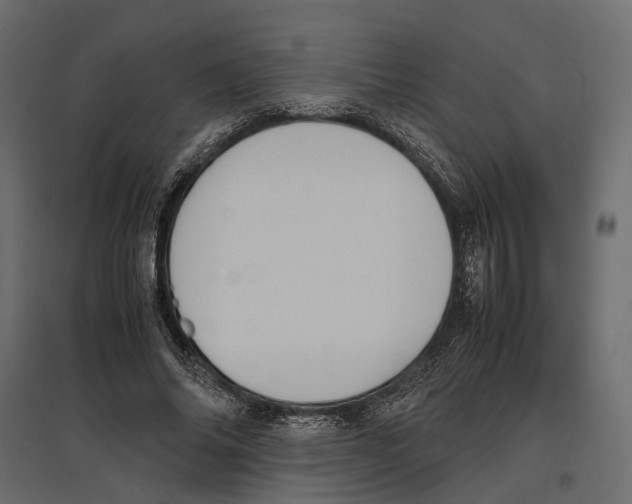 X0000097000686200803071118