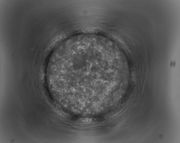 X0000097000687200803071118