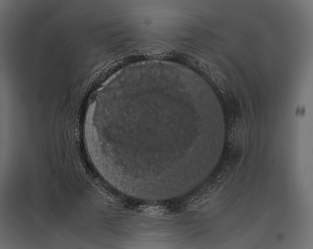 X0000097000689200803071118