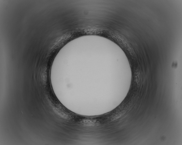 X0000097000690200803071118