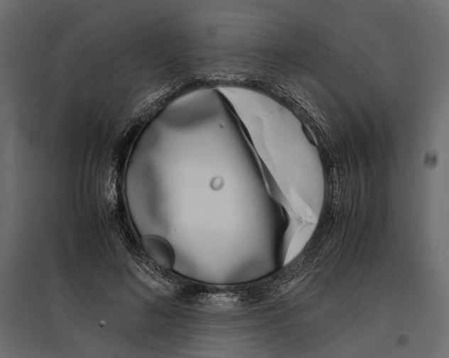 X0000097000692200803071118