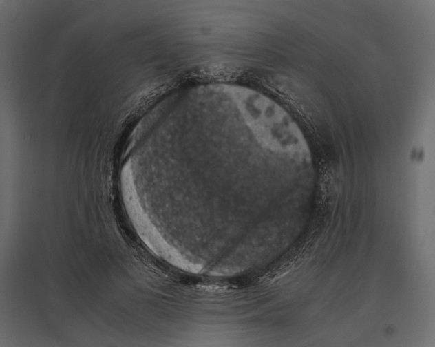 X0000097000693200803071118