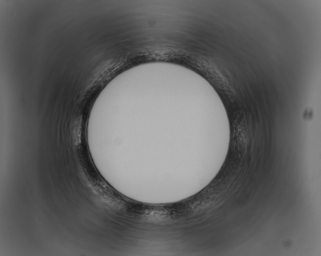 X0000097000694200803071118