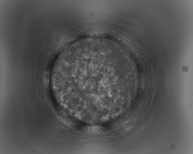 X0000097000695200803071118