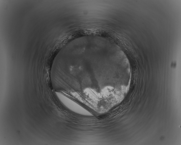 X0000097000699200803071118