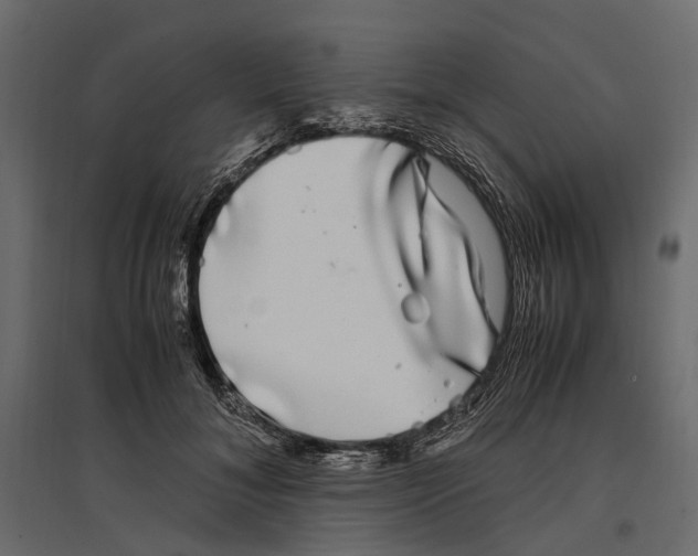 X0000097000700200803071118