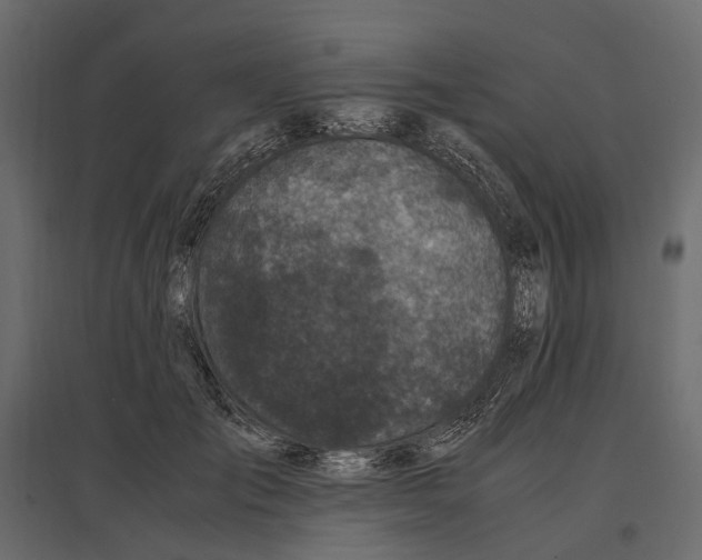 X0000097000701200803071118