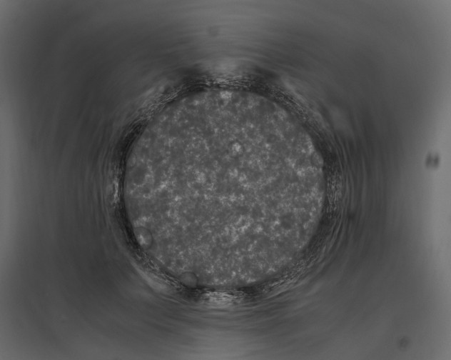 X0000097000703200803071118