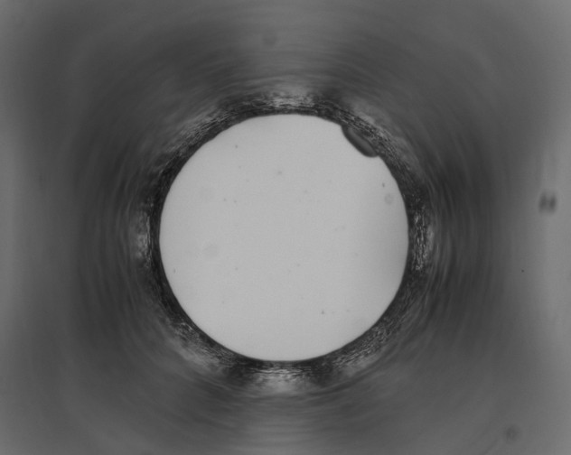 X0000097000704200803071118