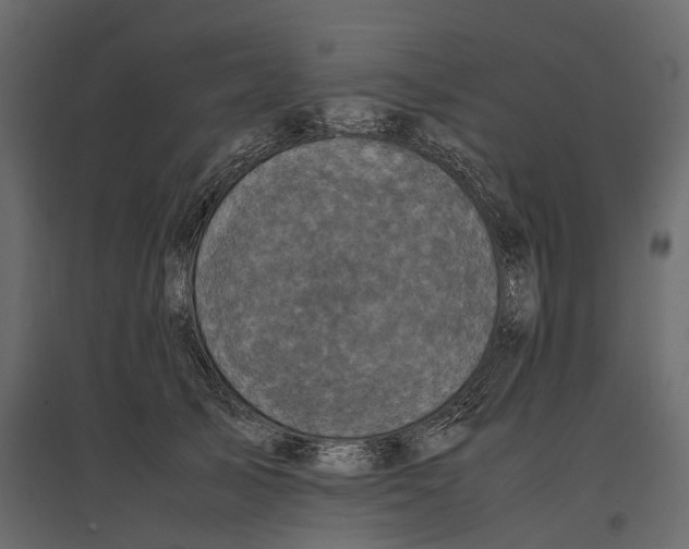 X0000097000705200803071118