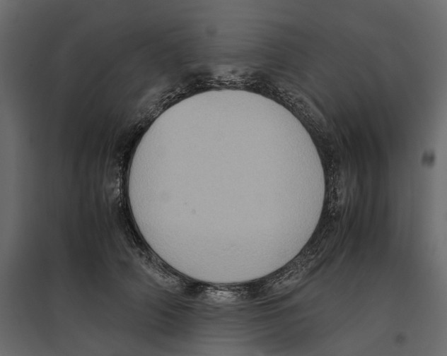 X0000097000706200803071118