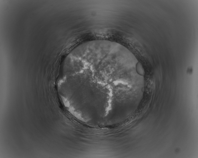 X0000097000707200803071118