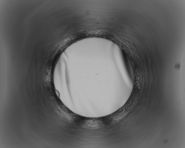 X0000097000708200803071118