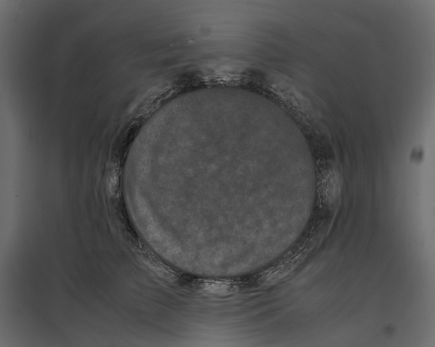 X0000097000709200803071118