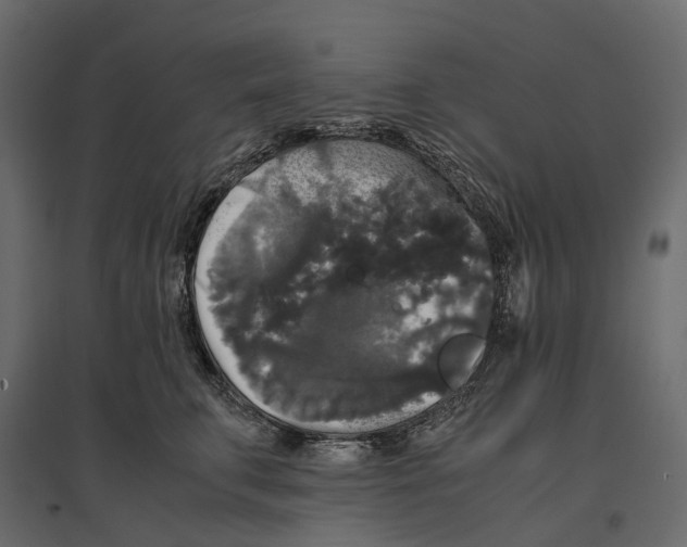 X0000097000711200803071117