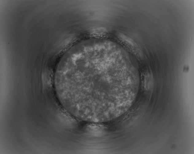 X0000097000712200803071117