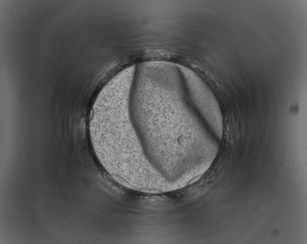 X0000097000716200803071117