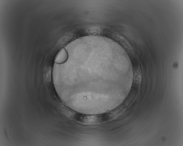 X0000097000717200803071117