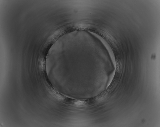 X0000097000718200803071117