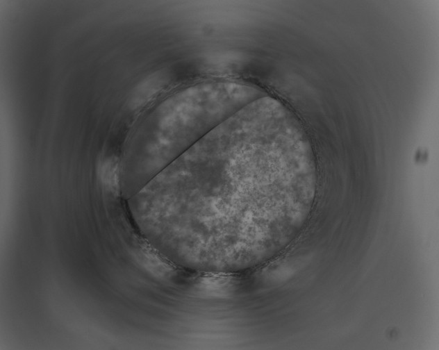 X0000097000720200803071117